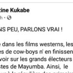 le-faux-compte-facebook-2